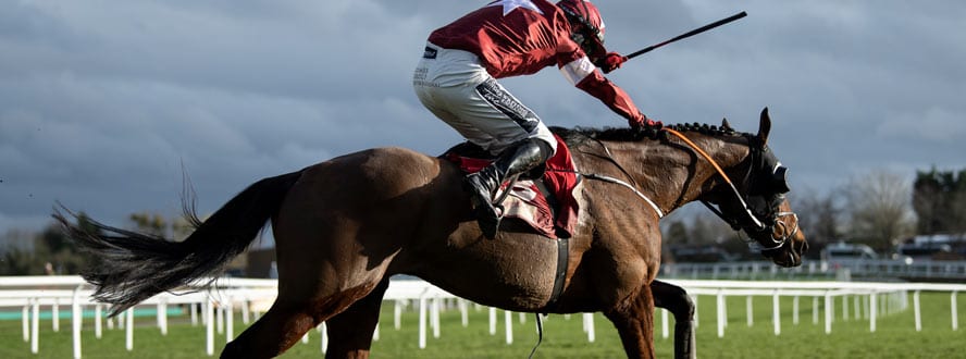 tiger roll grand national
