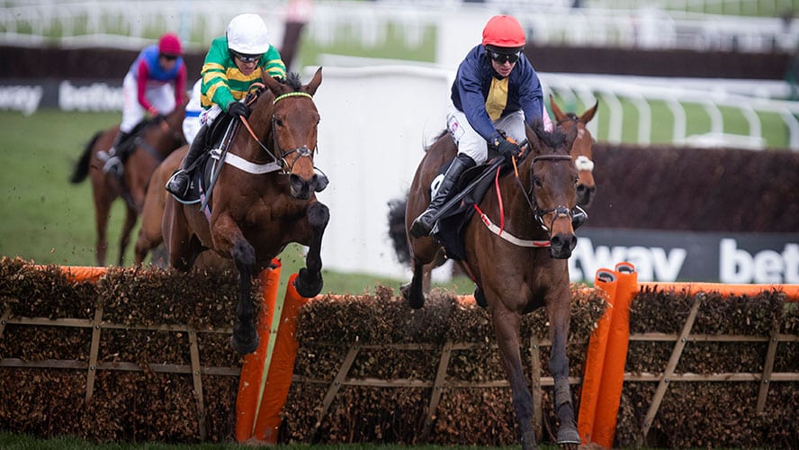 martin brassil grand national